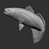 sculpt or model anything in zbrush