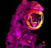 create exclusive fractal design to you