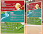 design professional logo, infographics, and custom graphics