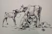do hand drawn pencil sketch for anything you want
