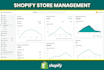 create, fix, optimize and manage your shopify store