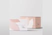 design mailer subscription box with mockup