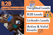 provide b2b lead generation and targeted lead generation