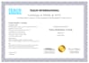 teach you conversational english on zoom or google meet