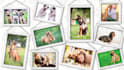 do your pet photo retouching and pet portrait editing in photoshop professional