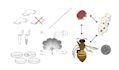 draw nature, science and culture