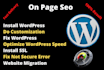 install wordpress ,setup and do customization in 1 hour