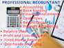 do accounting, data entry, reconciliation and reporting