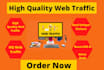 send you 20,000 website visits asap
