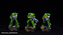 assemble and paint high quality miniatures