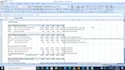 prepare financial statement analysis report, dcf, valuation, npv, irr, and wacc