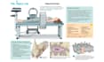 design creative infographics, flowcharts and maps
