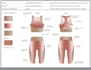 design activewear tech packs