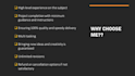 create plagiarism free assignments and research papers