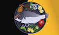 create realistic food illustrations