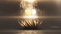 create golden lotus flower logo animation