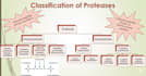 create a stunning and professional presentation