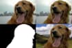 do professional roto prep and compositing