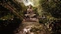 do rendering and landscape projects, outdoor designs