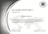 make you six sigma white belt certified sswb