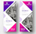 design a professional website banner,header, ads and covers