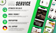 build your professional dropshipping shopify store or shopify website
