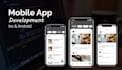 convert website to android and ios app for you