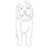 make realistic pet potrait and line art
