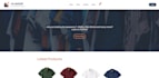 develop a professional mern stack web app