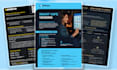 design condensed one pager, executive summary or pitch