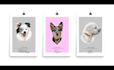 draw vector pet illustration with name and date
