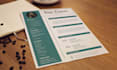 provide professional resume, cv, cover letter design
