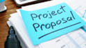 do projects and proposal writing, and concept notes