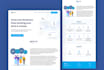 design professional website for your business