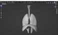 sculpt any human organ in blender