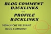 do 100 blog comments and SEO profile backlinks