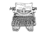 gothic and mystical illustrations, skeletons