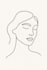 draw custom line art illustration in minimalist style