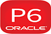 teach project management and primavera p6 program