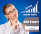 write affiliated SEO articles blogs essays and web content
