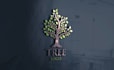 do high quality tree logo design in 24 hrs guaranteed