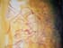 do beautiful traditional  paintings