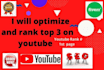 optimize and rank top 3 on youtube