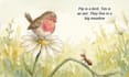 create kids book illustrations and character illustrations