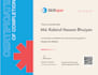 setup audit optimize google ads adwords PPC search campaign as an SEM expert