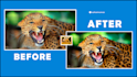 do enhance upscale low video into 4k high