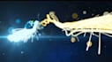 create professional motion graphic videos and video editing