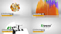 create 20 amazing animated logo intro video 24hrs