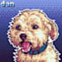create a cute pixel art portrait of your pet