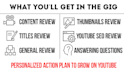 audit your youtube channel and tell how to get more views and subscribers